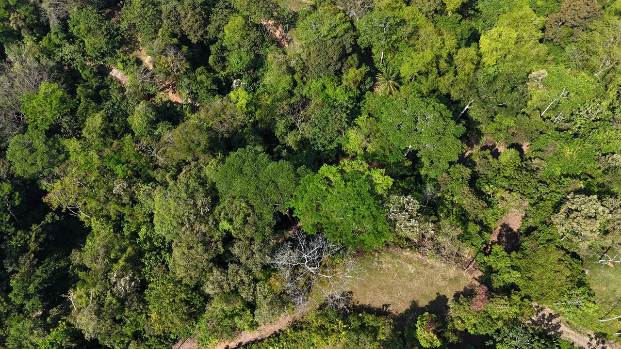Exceptional Development Opportunity 71 acre Riverfront & Ocean View in Hatillo - Gallery image 4