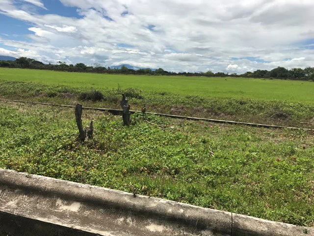 Large Development Land for Sale in Liberia, Guanacaste, Costa Rica - Gallery image 70