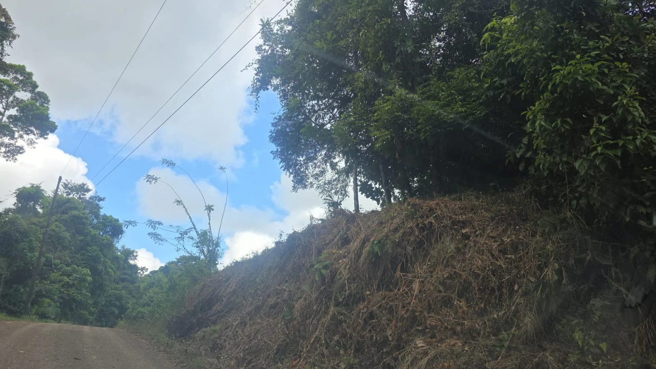 Expansive Year-Round Green Agricultural Property with Rolling Hills and a River – One Hour from Liberia - Gallery image 2