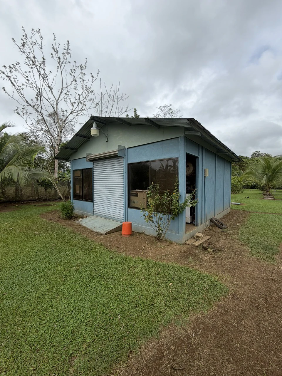 Country house with fruit trees for sales Upala Costa Rica - Gallery image 14