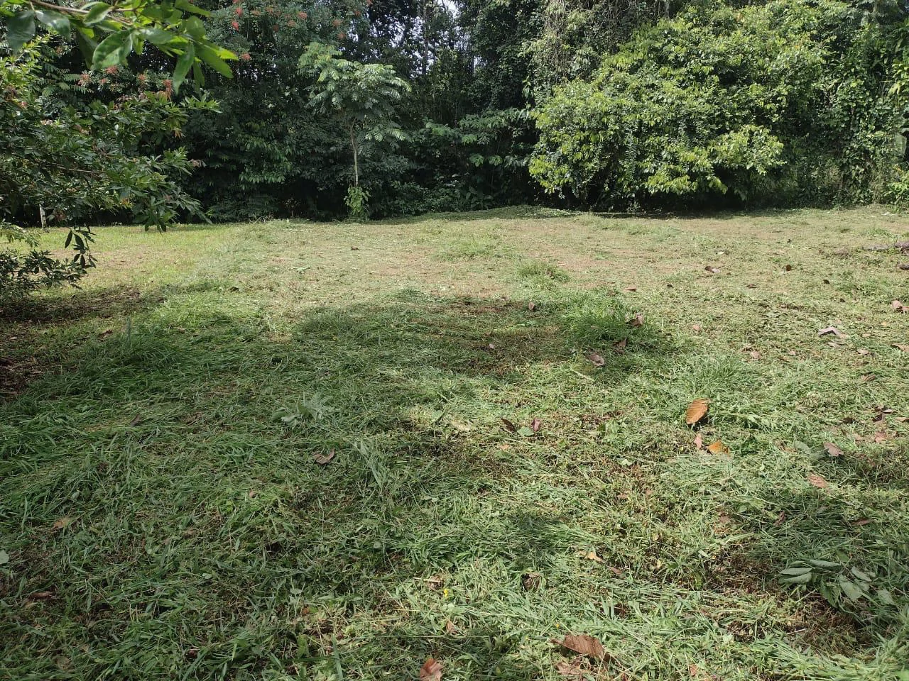 Beautiful Riverfront Lot in Chachagua – Ready to Build! - Gallery image 3