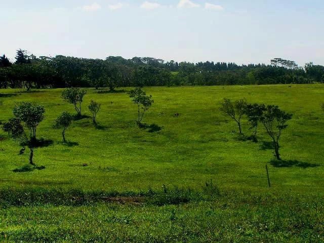 Hacienda Poseidon: 33 acre property overlooking Lake and Volcano Arenal - Gallery image 8
