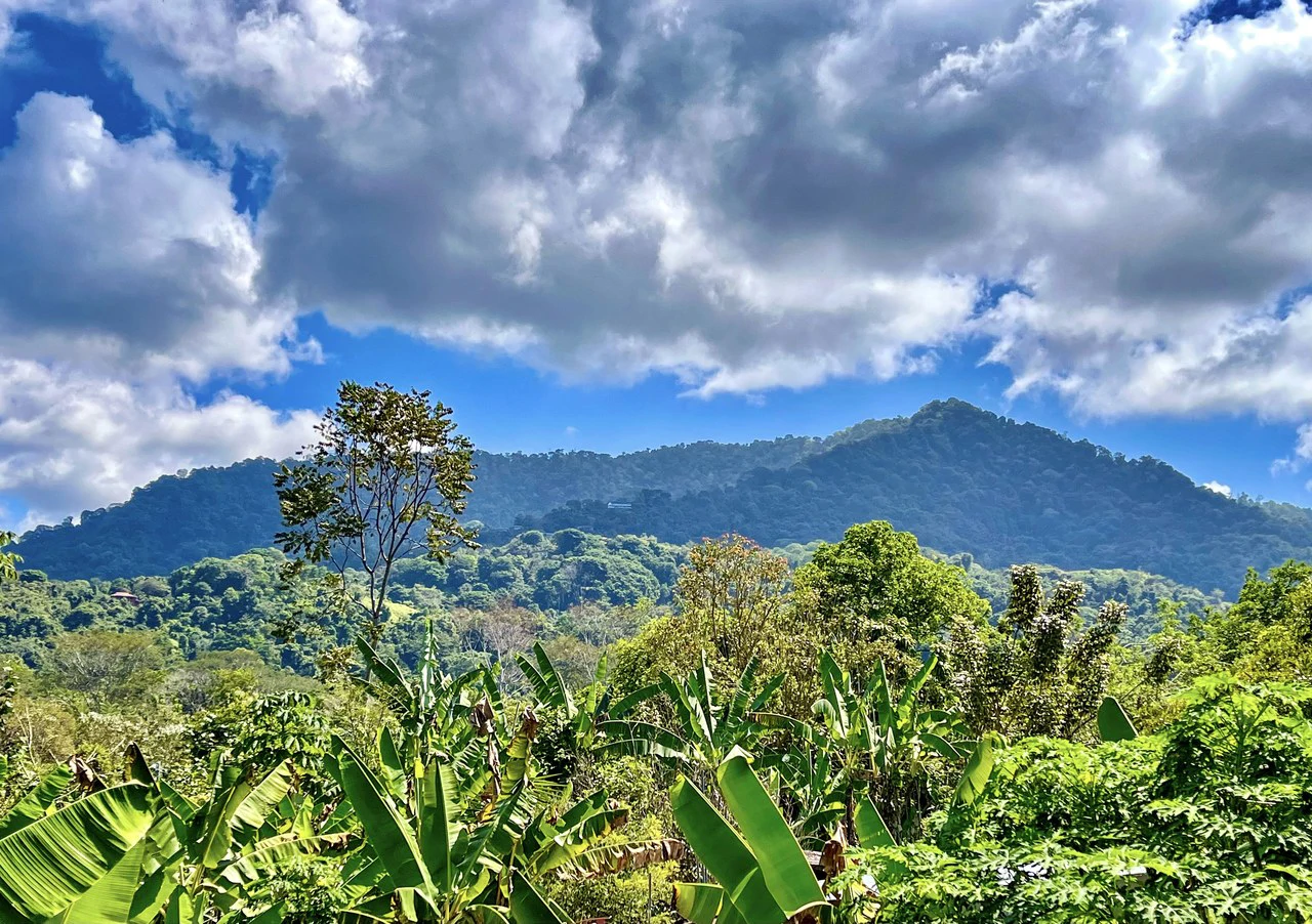 .075 ACRES – 2 Bedroom New Construction Home, Walk to the River, 5min to Playa Matapalo, 15min to Dominical!!!! - Gallery image 4