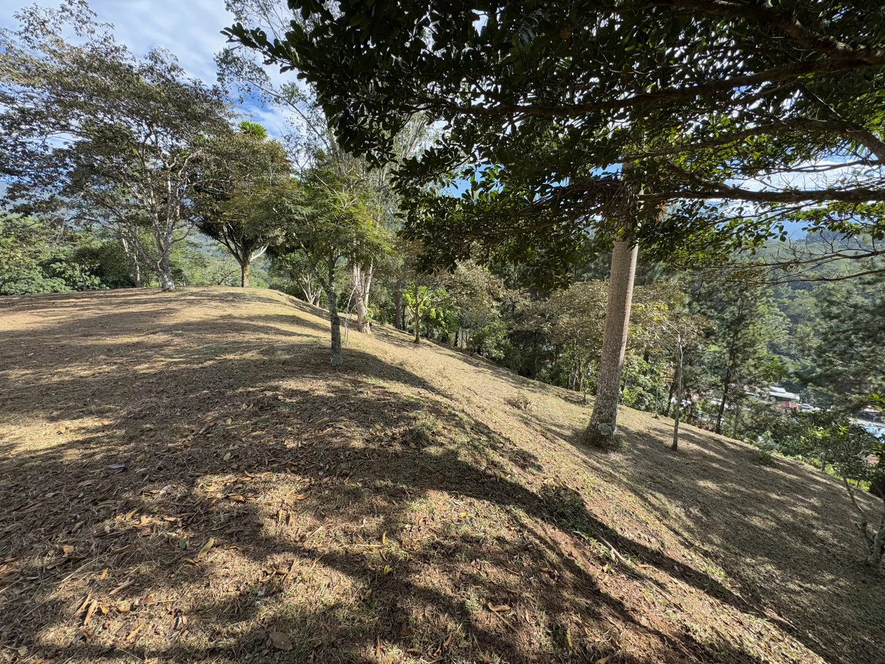 Stunning 2.4 Acre Property in Quebradas San Isidro del General - Gallery image 20