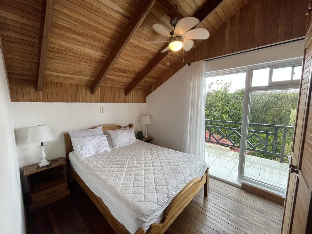 Nuevo arenal: Looking for a Property to Develop Family Residences with Lake Views? - Gallery image 11