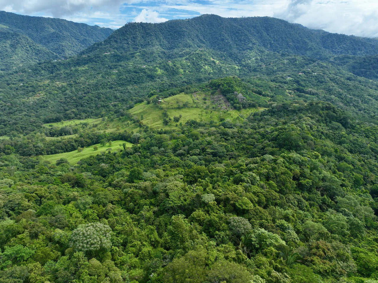TROPICAL MASTERPIECE – 61.78 ACRES OF OCEANVIEW BLISS WITH WATERFALL: Mountain Development Parcel For Sale in Tres Rios - Gallery image 23