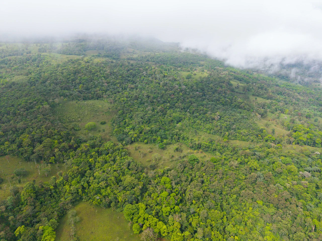 Finca Las Zompopas-Río Celeste: 113-Acre Biodiverse Property in Bijagua, Ideal for Eco-Tourism, Private Retreats, or Sustainable Development - Gallery image 12