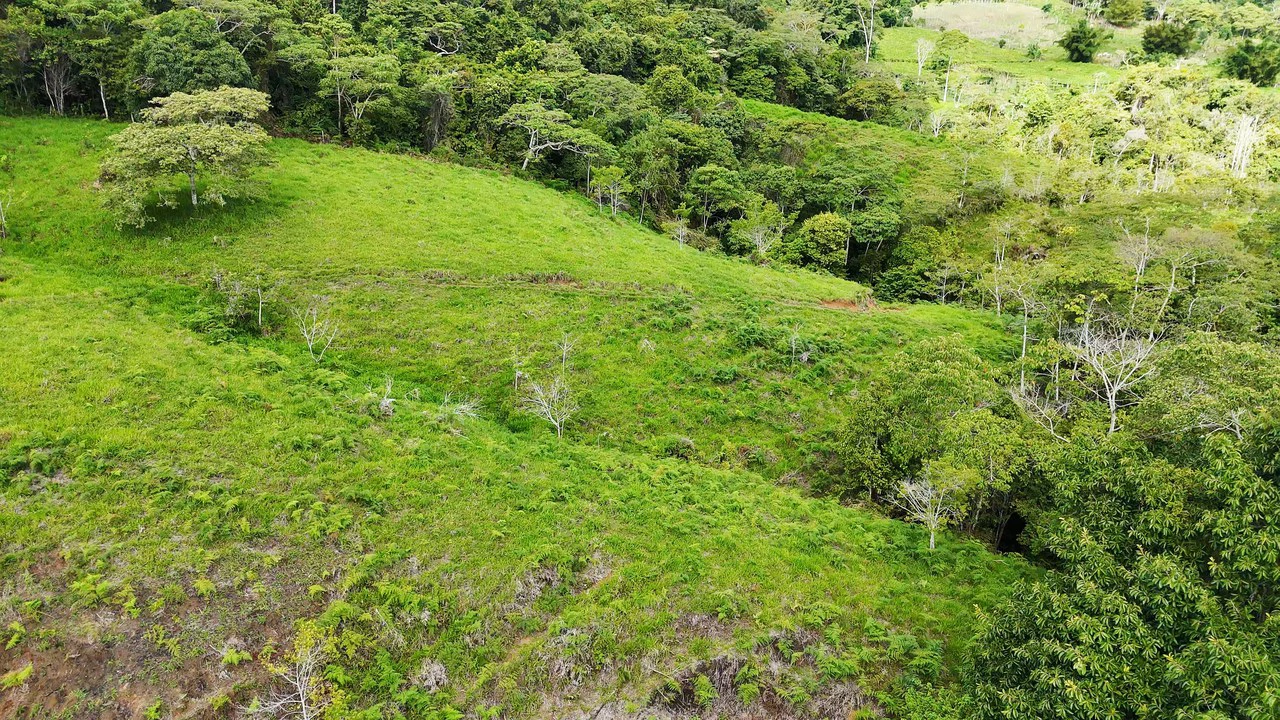Mountain Agricultural Land For Sale in San Isidro del General - Gallery image 6