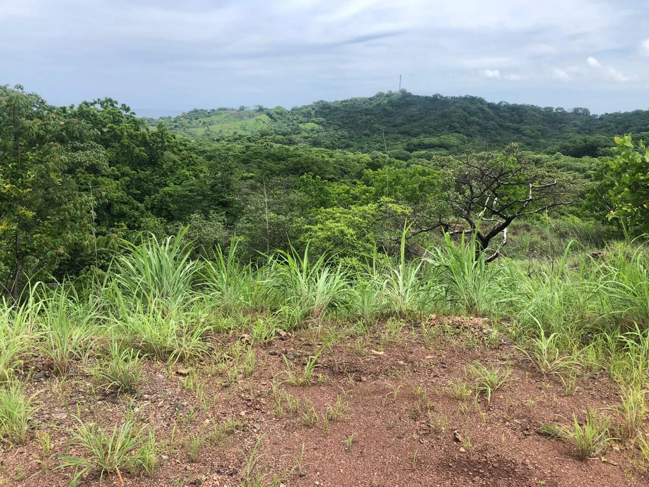 Spectacular private ocean view farm in Tamarindo, Costa Rica - Gallery image 7