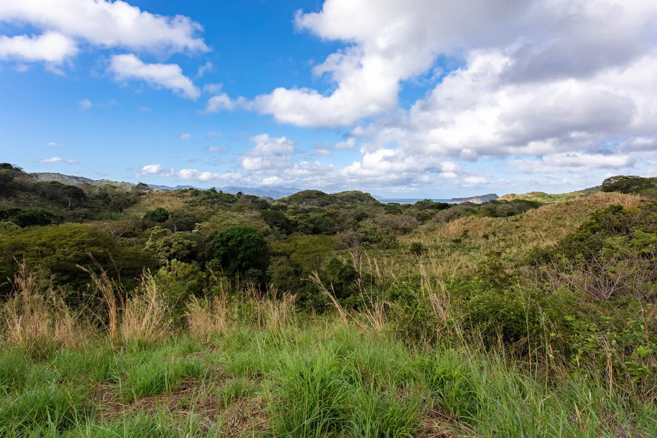 220 Acres Beachside Farm with Ocean View at Playa Junquillal in Guanacaste - Gallery image 11