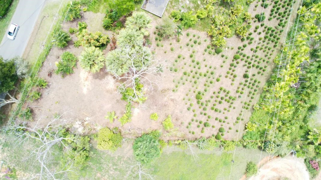 Propiedad en La Bonita Emma-137480: Mountain and Countryside Home Construction Site For Sale in San Isidro del General - Gallery image 15
