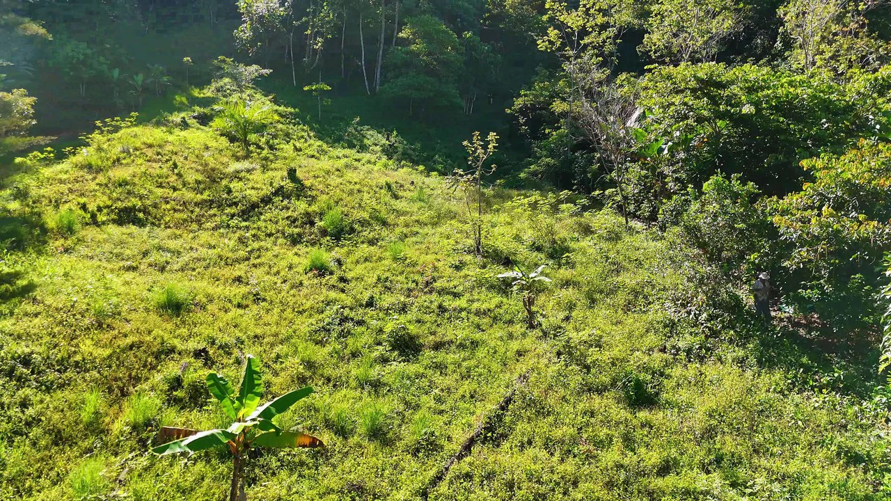 LOTE EN RIVAS GERA-150304: Mountain Home Construction Site For Sale in San Isidro del General - Gallery image 2