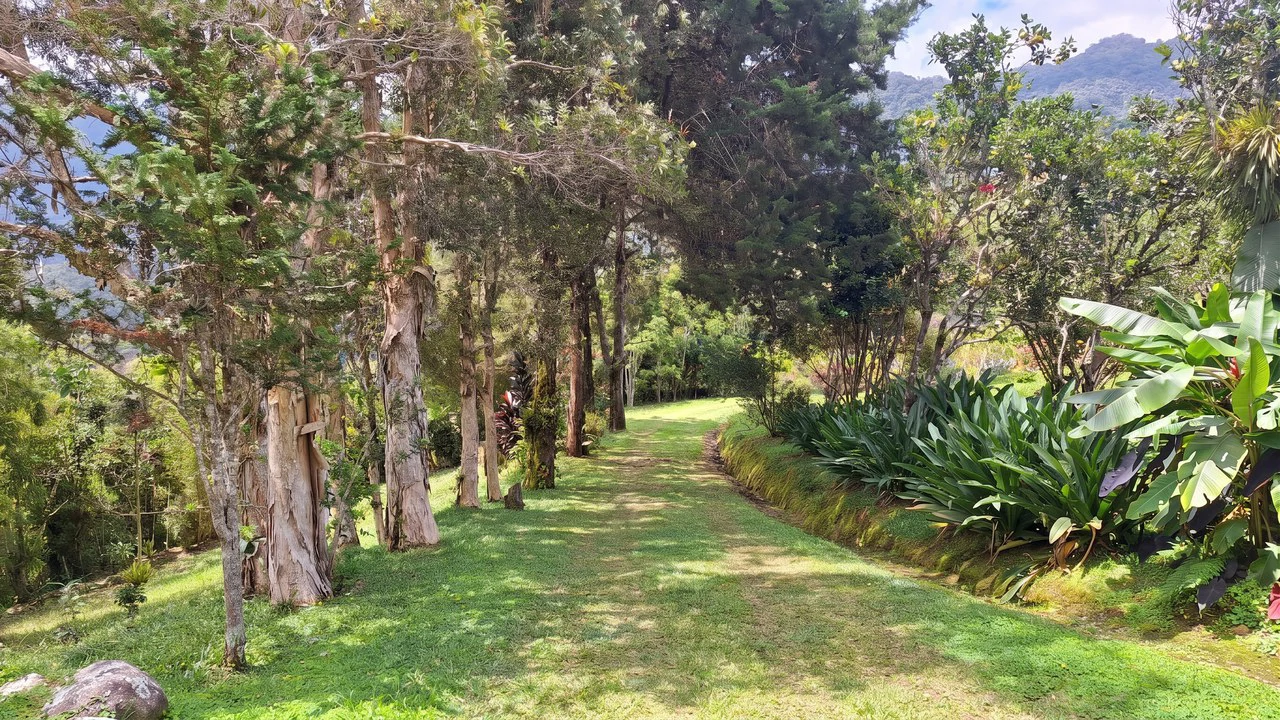 Mountain House For Sale in San Isidro del General - photo 3