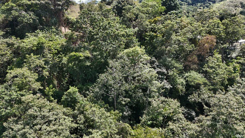 Luxury Gated Ocean-View Land Minutes from Manuel Antonio National Park and Marina - Gallery image 5