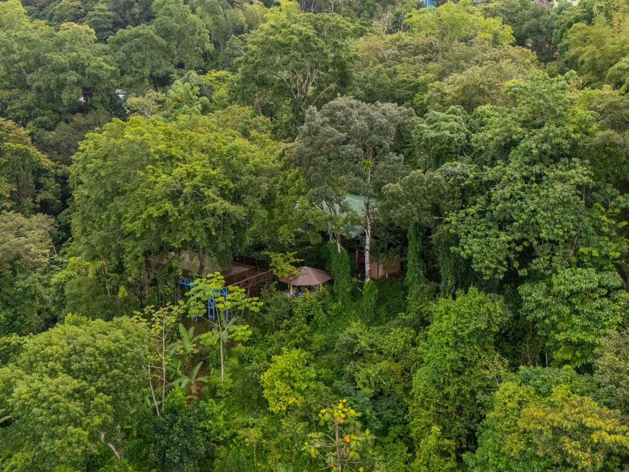 Prime 7.8 Acre Commercial Property with Restaurant for Sale in Costa Rica - Gallery image 55