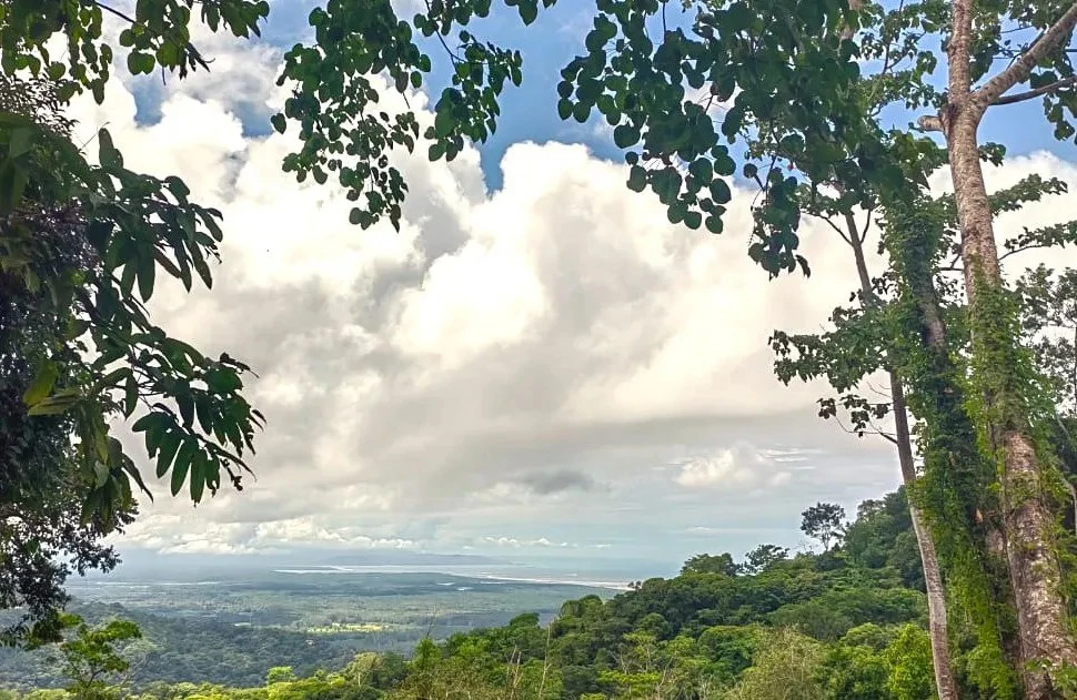 0.46 ACRES – Ocean View Land Just 4 Minutes Away From El Pavon Waterfall, Legal Water And Electricity Available & Ready To Build Site!!!: Mountain and Countryside Home Construction Site For Sale in Tr - Gallery image 2