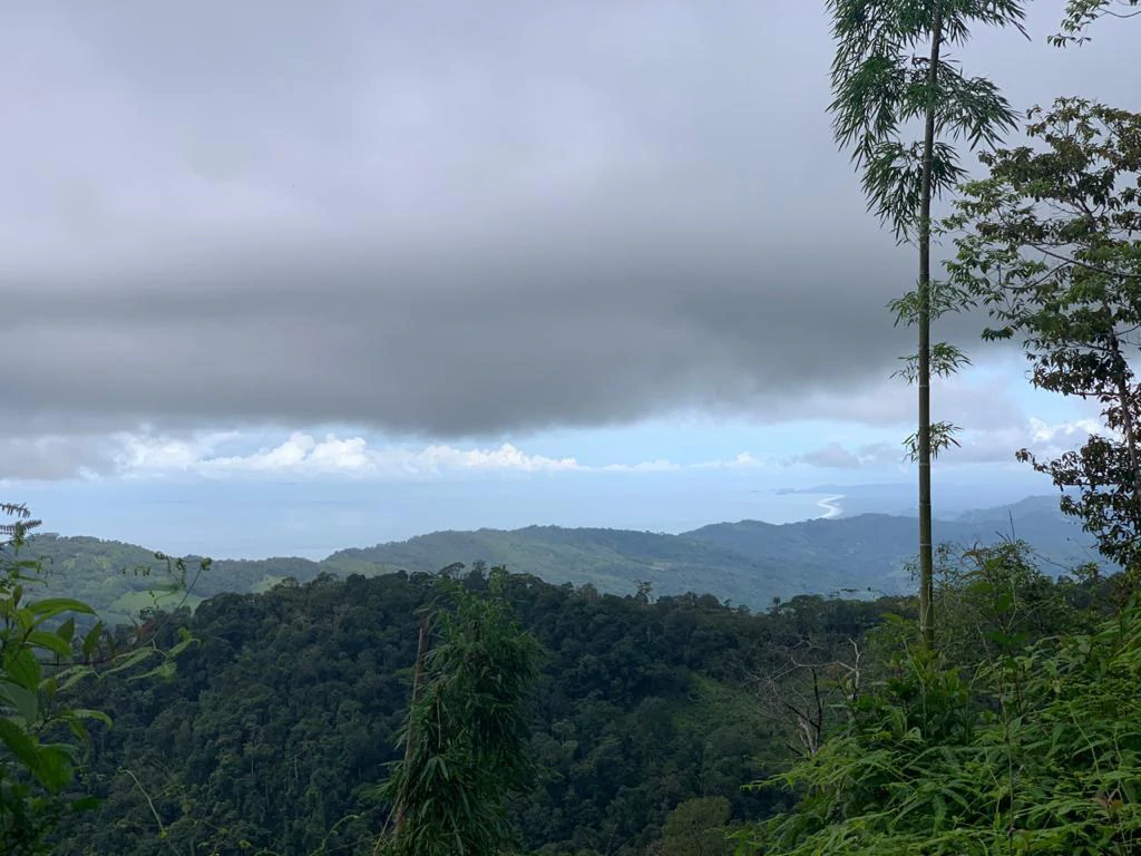 Ocean View Forest Reserve with Private Homesite Near Tinamastes - Gallery image 20