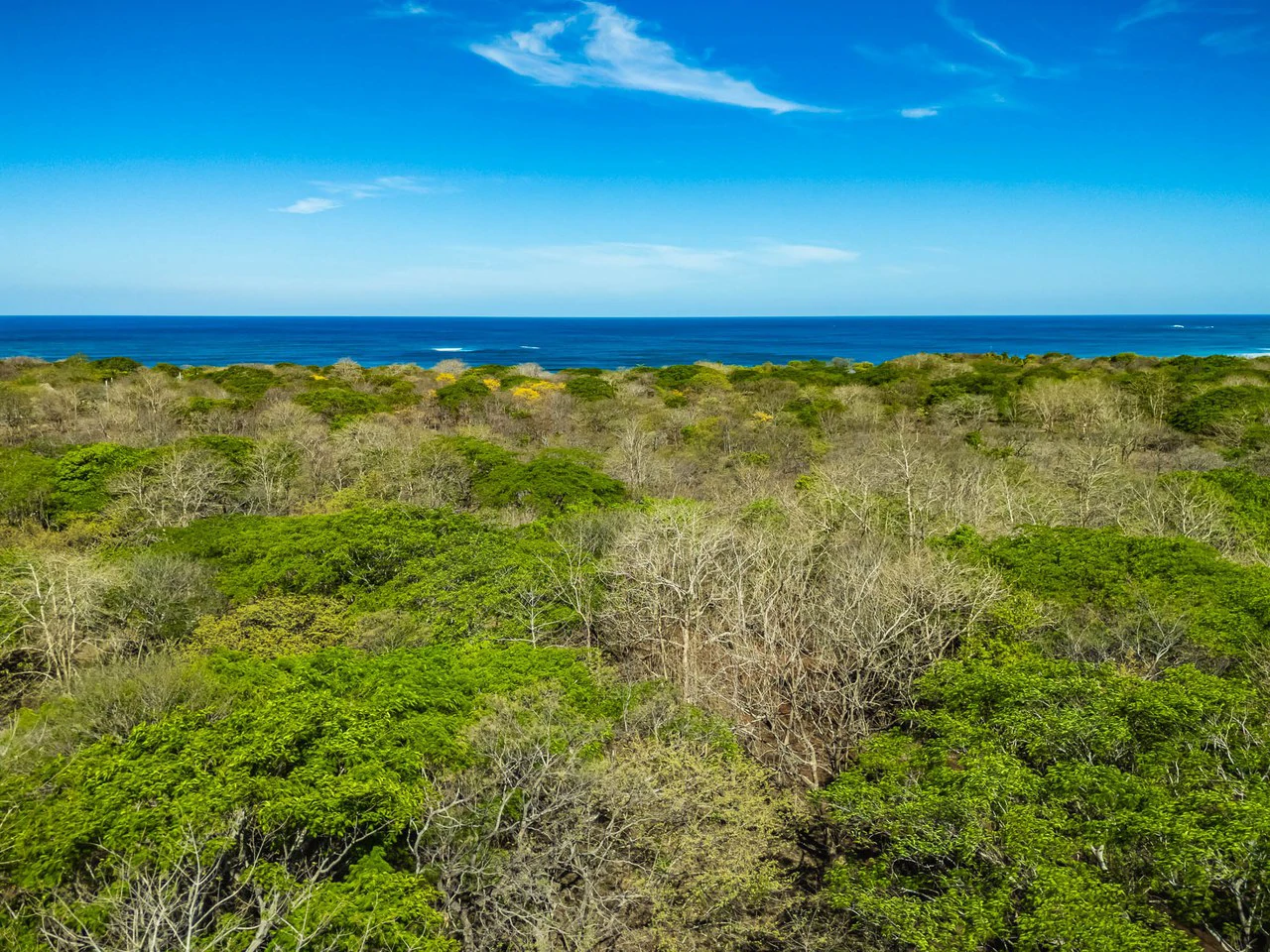 Bosque Escondido: Mixed-Use Lot Steps from Avellanas Beach - Gallery image 14