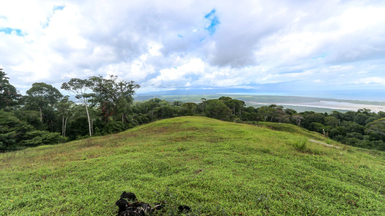 Unique Development Property Overlooking the Pristine Golfito Bay and Golfo Dulce - Gallery image 22