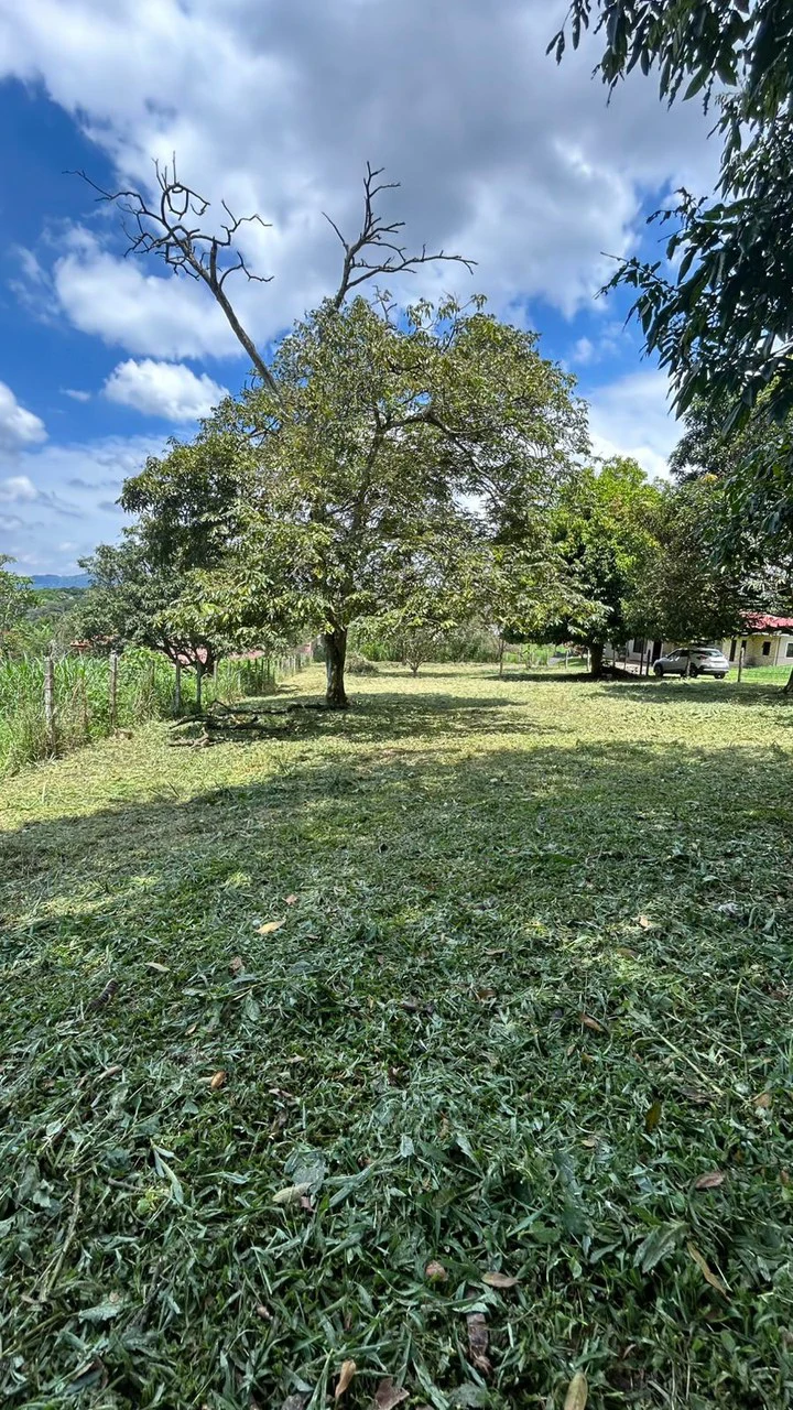 Calas Mixed Uso: 2,000 m2 Lot for Apts, Commercial or Bodegas! - Gallery image 3
