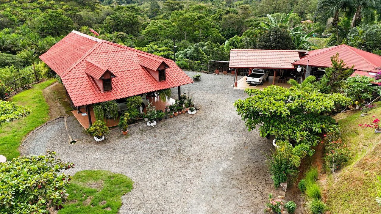 Charming Hardwood Cabin with Fruit Garden Near San Isidro - Gallery image 6