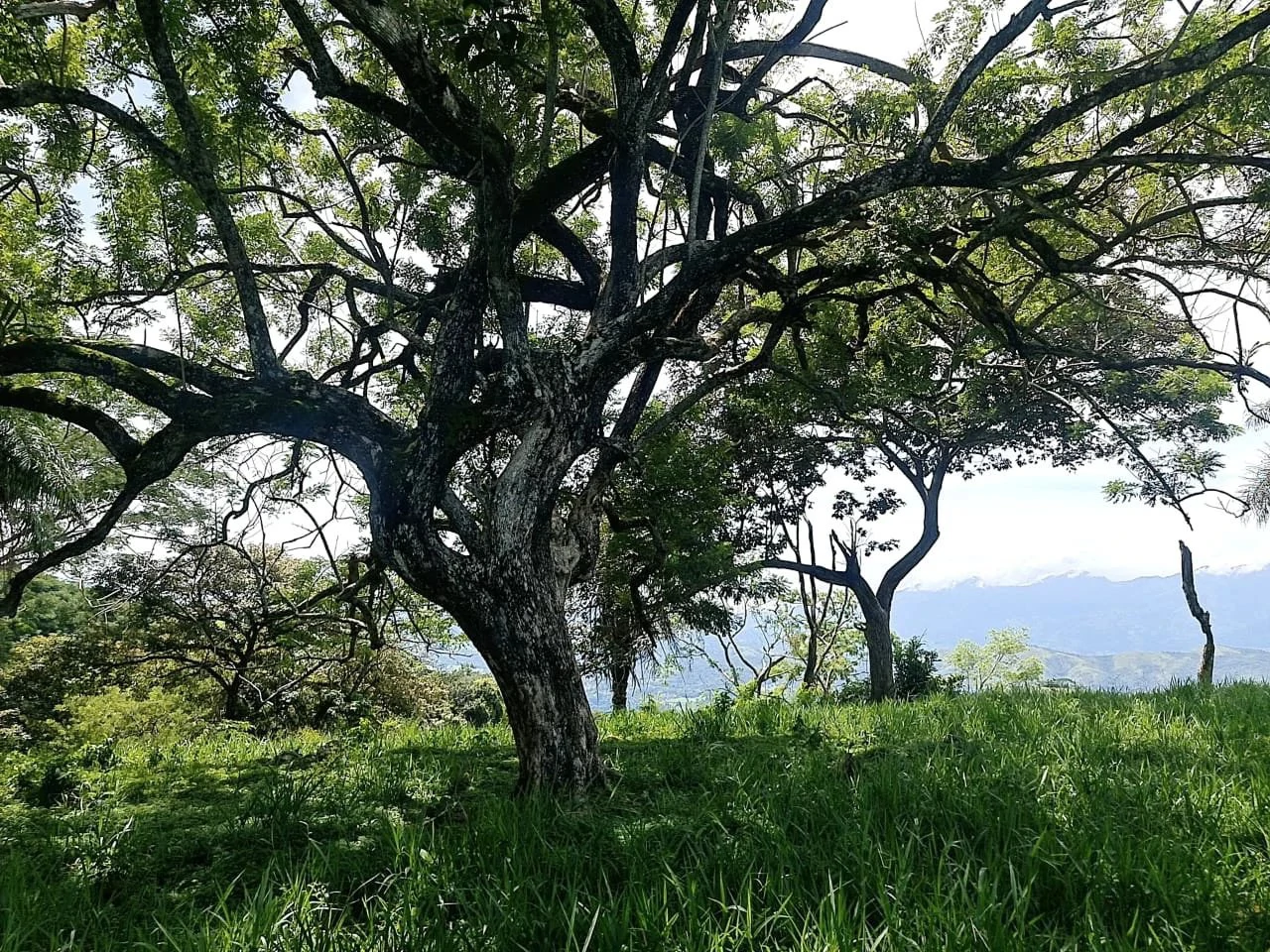 Near the Coast and Mountain Home Construction Site For Sale in Orotina y Caldera - Gallery image 18