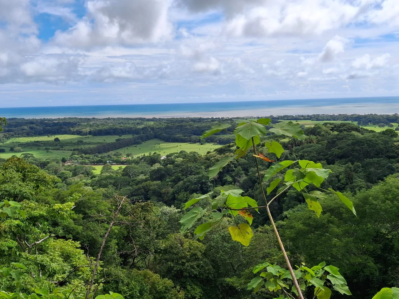 Hilltop Ocean Paradise: 10 ha with Ocean Views! - Gallery image 11