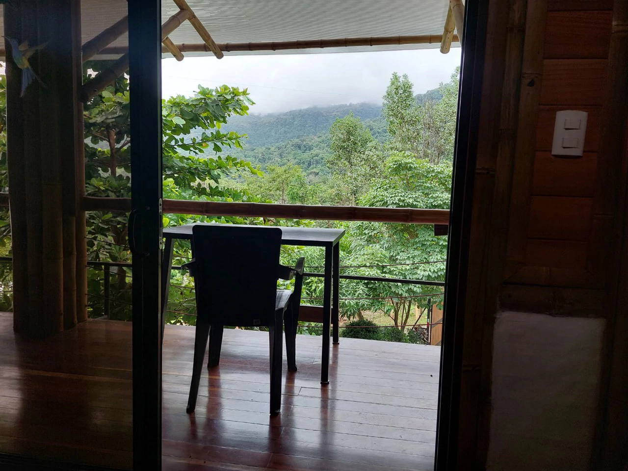 Cabinas Bambura: Cabinas Bambura: Successful Airbnb Business with Stunning Mountain & Jungle View - Gallery image 29