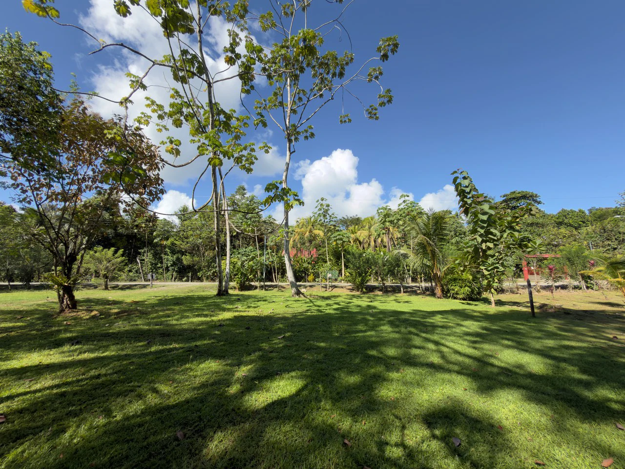 New 2 Bedroom Home for Sale in Terrones | Near Puerto Jiménez, Osa Peninsula - Gallery image 17