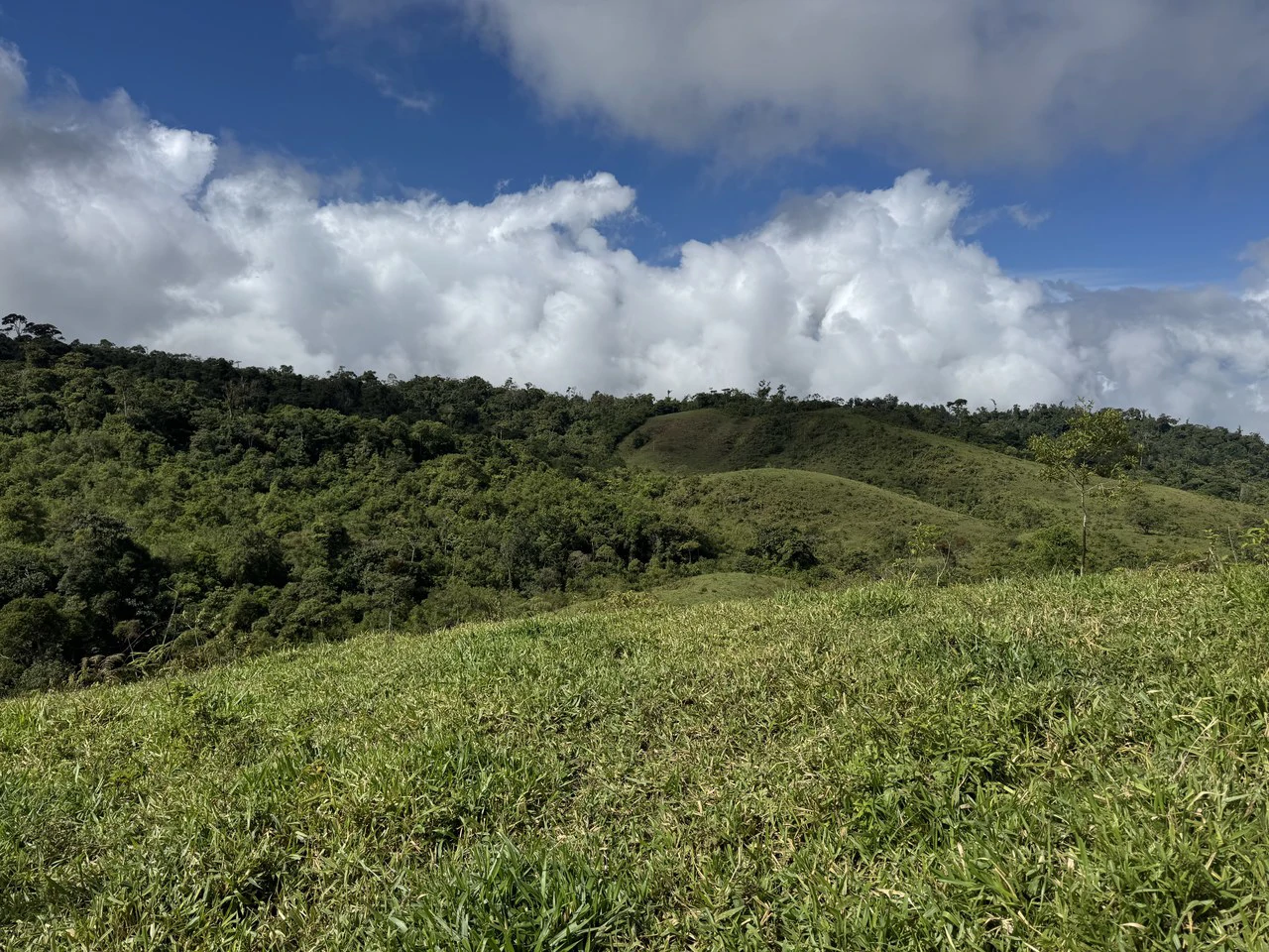 47 Acre Off Grid Ranch with Ocean & Mountain Views San Lorenzo Perez Zeledón - Gallery image 27