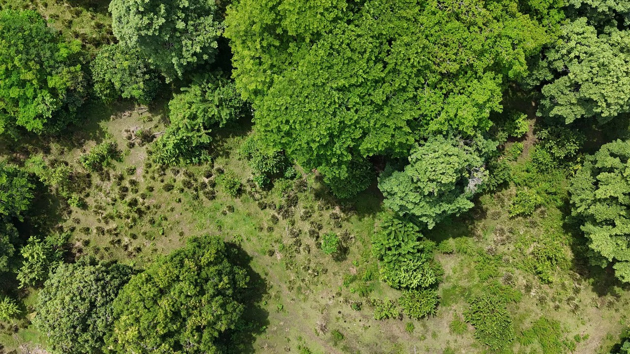 Walk to the beach, Developement Land, Mini Ranch, Central Uvita - Gallery image 7