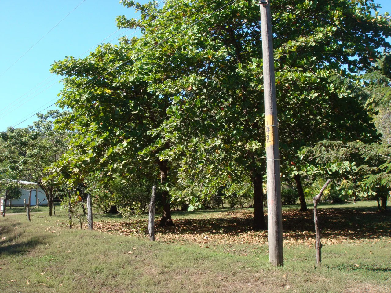 Second-Row Lot for Sale Playa San Miguel, Nandayure, Guanacaste - Gallery image 3