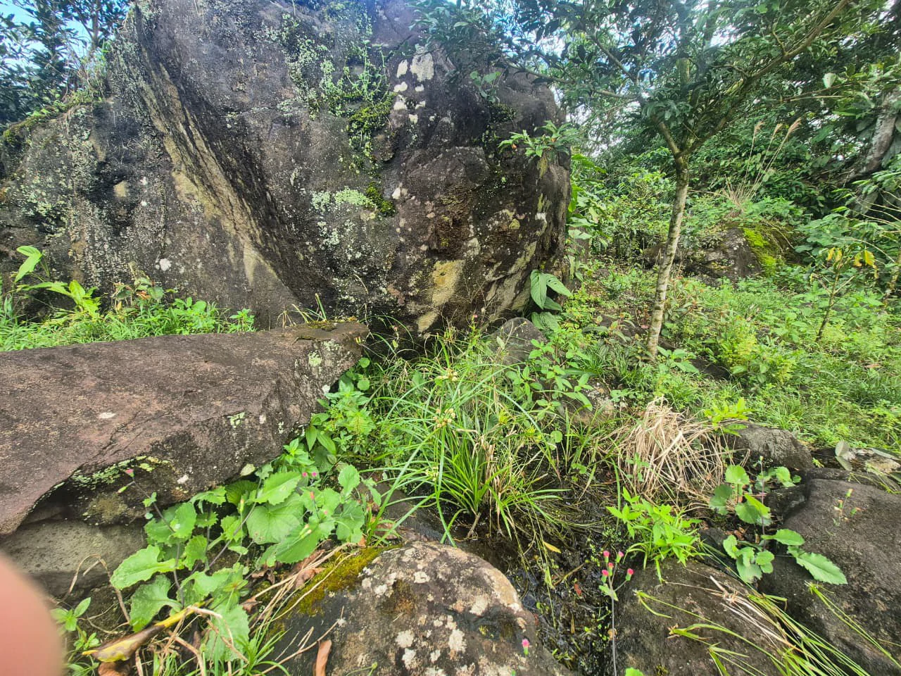Countryside Agricultural Land For Sale in Santa Elena de San Isidro - Gallery image 17