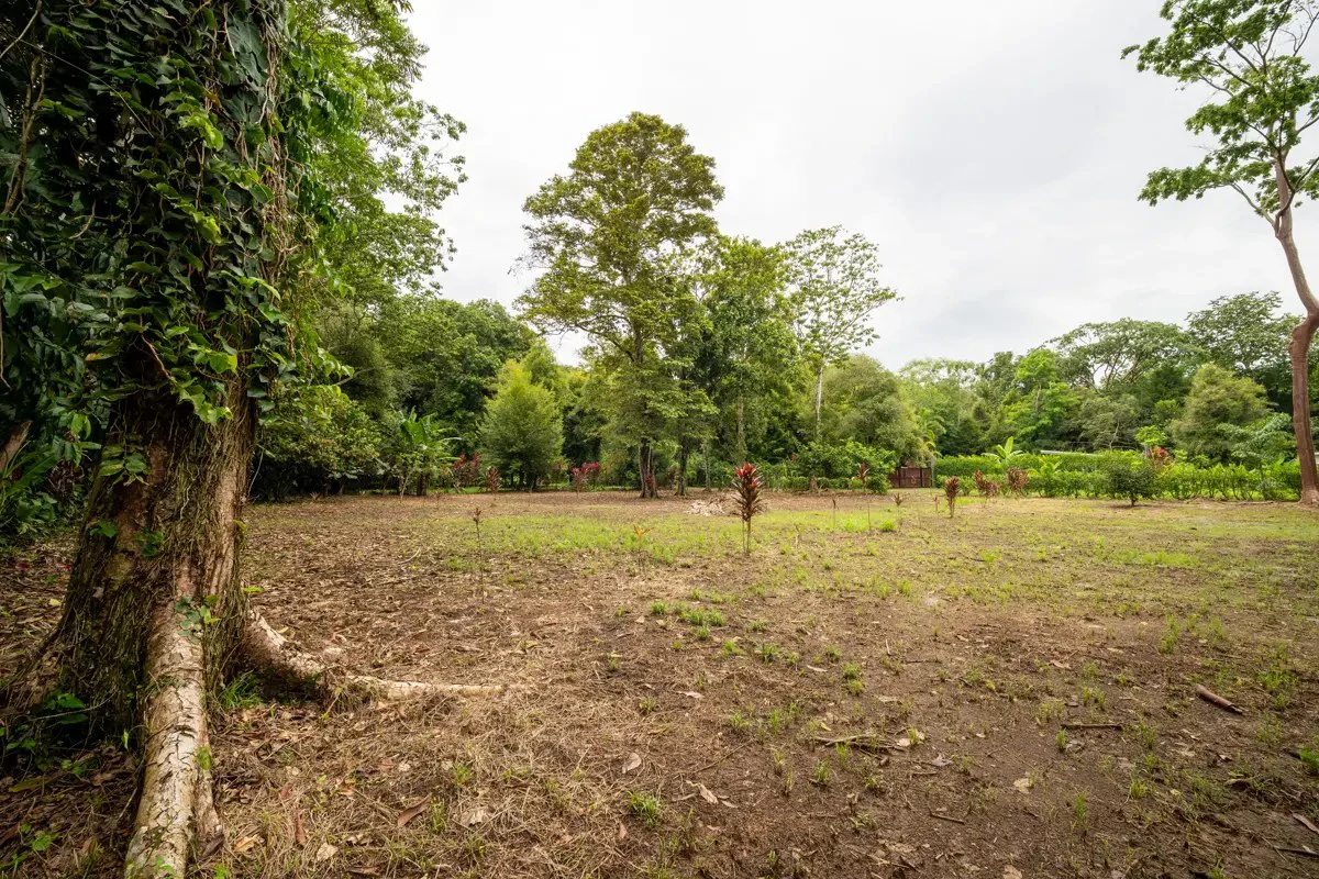 ID 1150: 3000 sqm Titled Land Near Cahuita National Park, Costa Rica