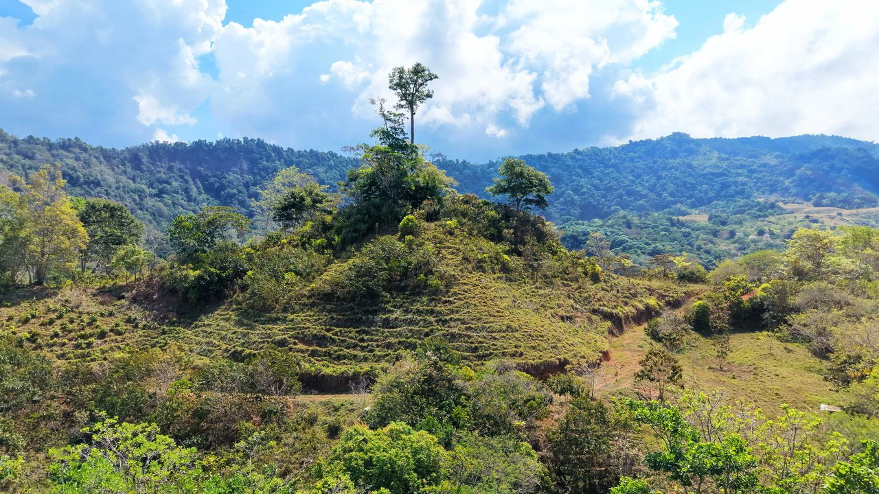 2.8 HA FARM FOR SALE IN SAN LUIS DE MORETE | MOUNTAIN VIEWS AND NEAR THE OCEAN - Gallery image 4