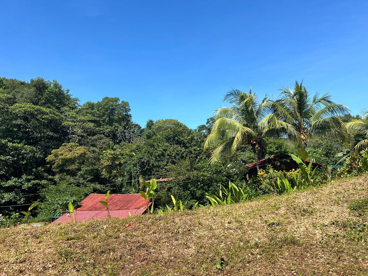 Reasonable Lot for sale in Uvita - Gallery image 8