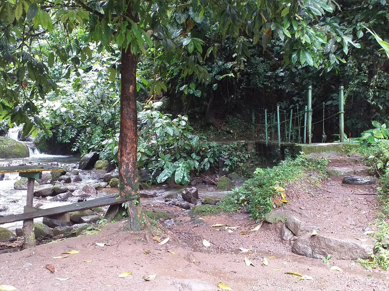 11.25 ACRES- 4 Bedrooms, Two Homes, Panoramic Ocean & Mountain Views With Stream, 30+ Fruit Trees, 40 Minutes to Quepos!!! - Gallery image 51