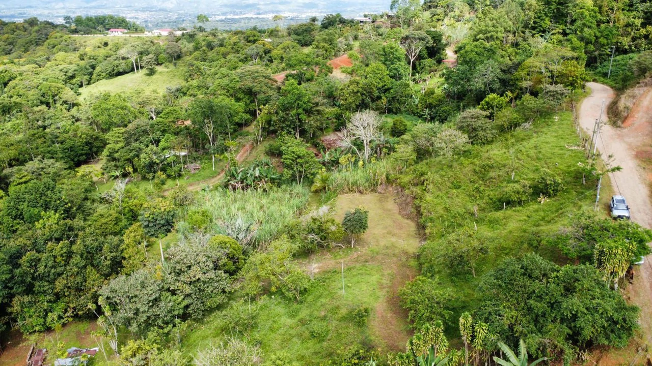 Propiedad en San Blas: Mountain Agricultural Land For Sale in La Linda General Viejo - Gallery image 24