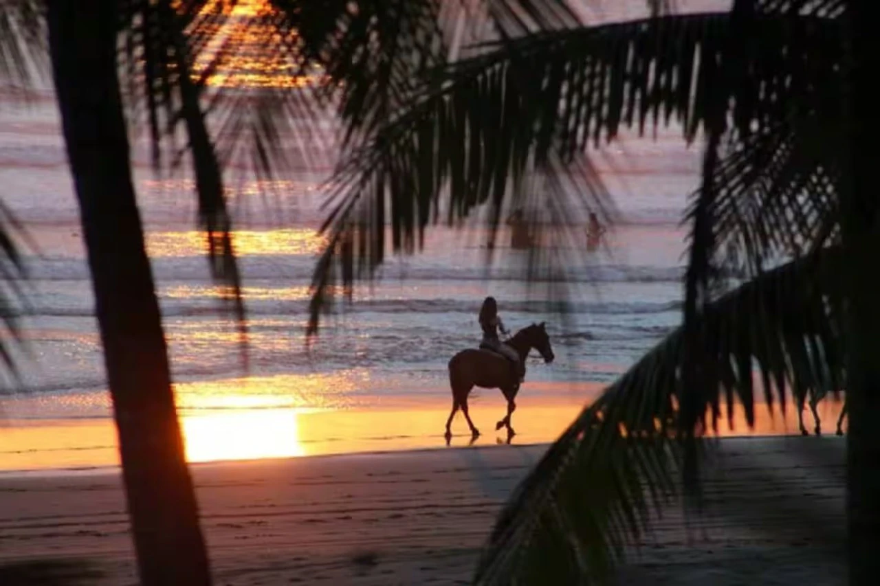 Villa Pacifique: Ocean views from the Villa Sol resort community! - Gallery image 86
