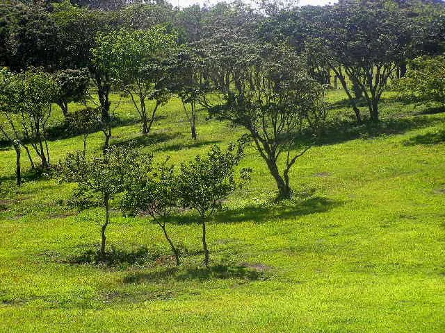 Hacienda Poseidon: 33 acre property overlooking Lake and Volcano Arenal - Gallery image 9