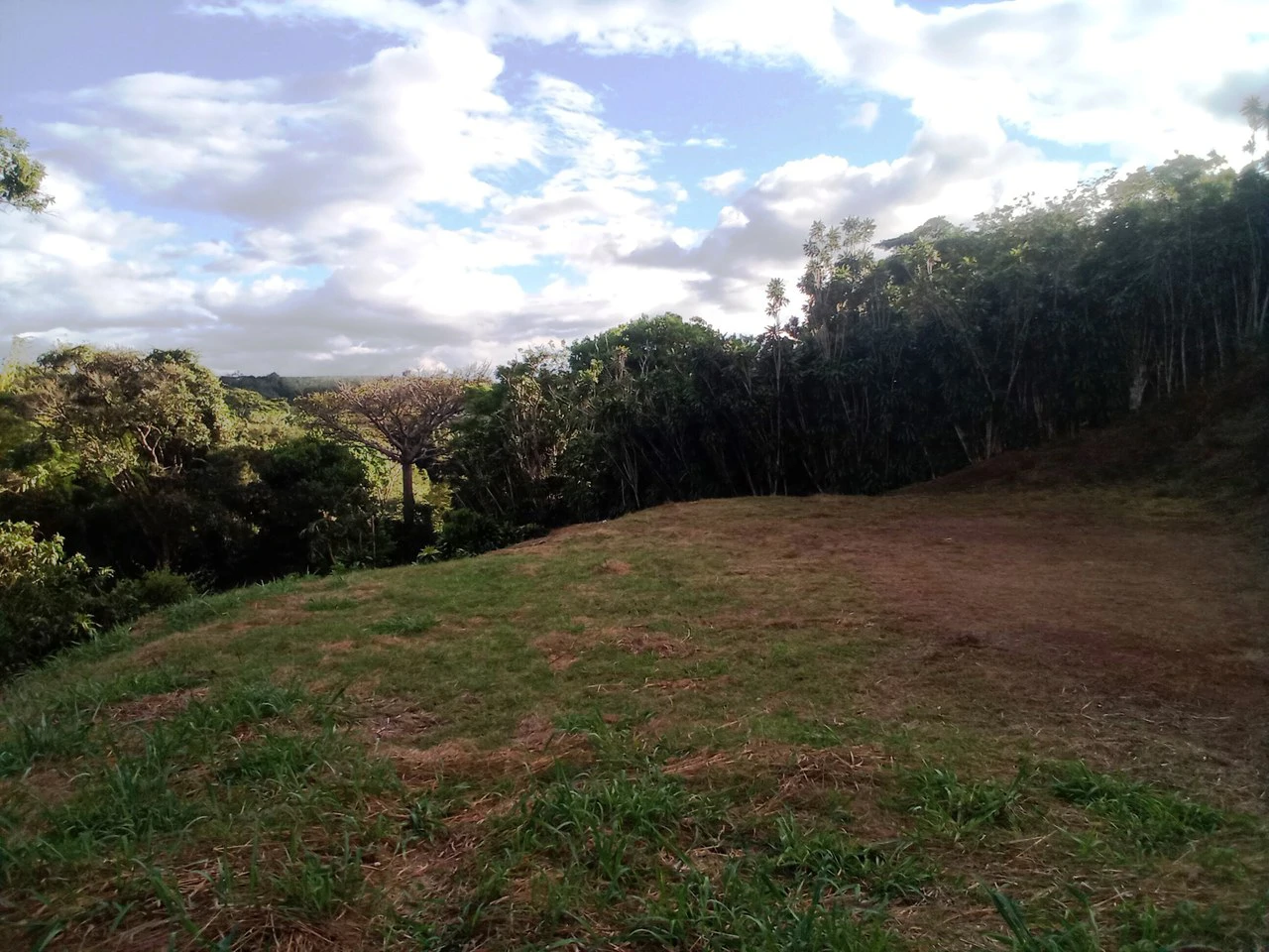 Nature Lot: REDUCED! 1,013 m2 lot off the main road - Gallery image 3