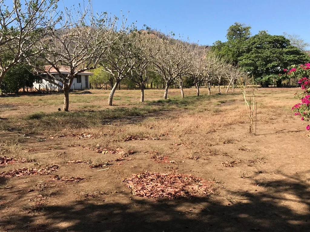 Property in Playas del Coco - Gallery image 7