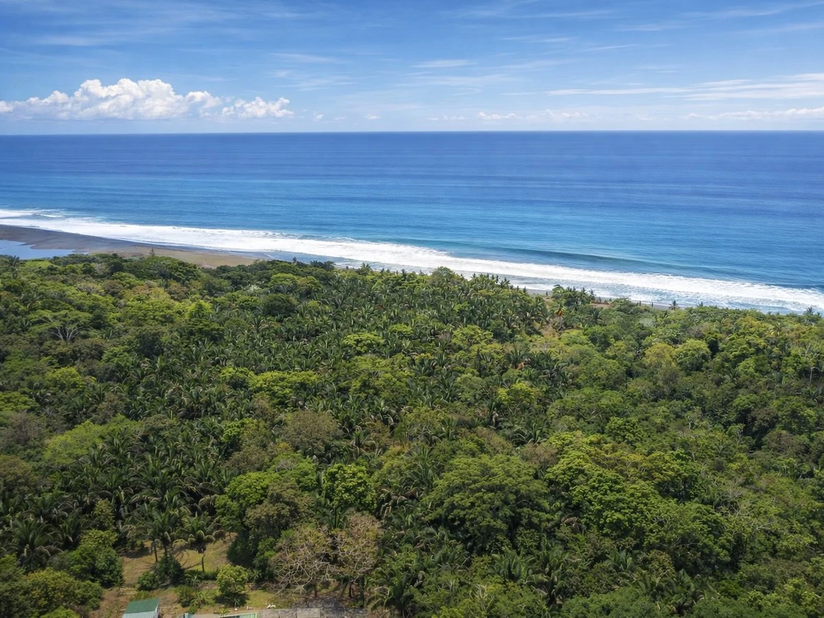 Property Near Carate Beach | 3.5 Hectares, Osa Peninsula - Gallery image 7