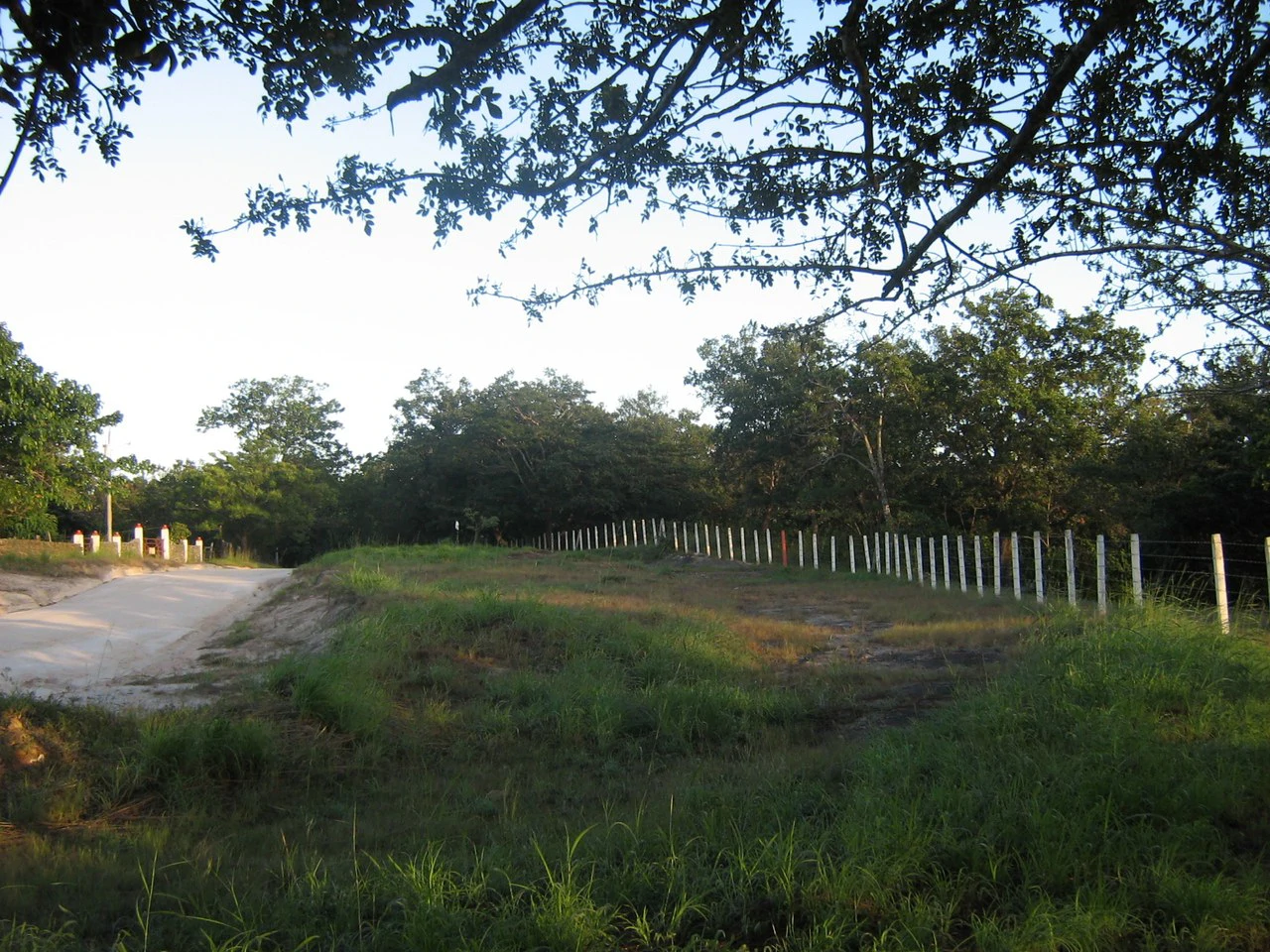 Excelente oportunidad: Excellent opportunity, lots Curubandé of Liberia, High Value - Gallery image 4