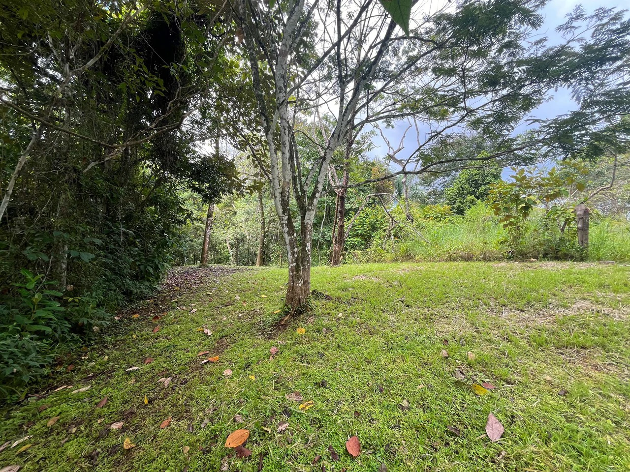 6000m2 Ready to Build Lot in Delicias: Great Price with Project and Permits included - Gallery image 3