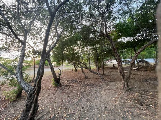 Jaco Luxury Ocean Front Lot - Gallery image 9
