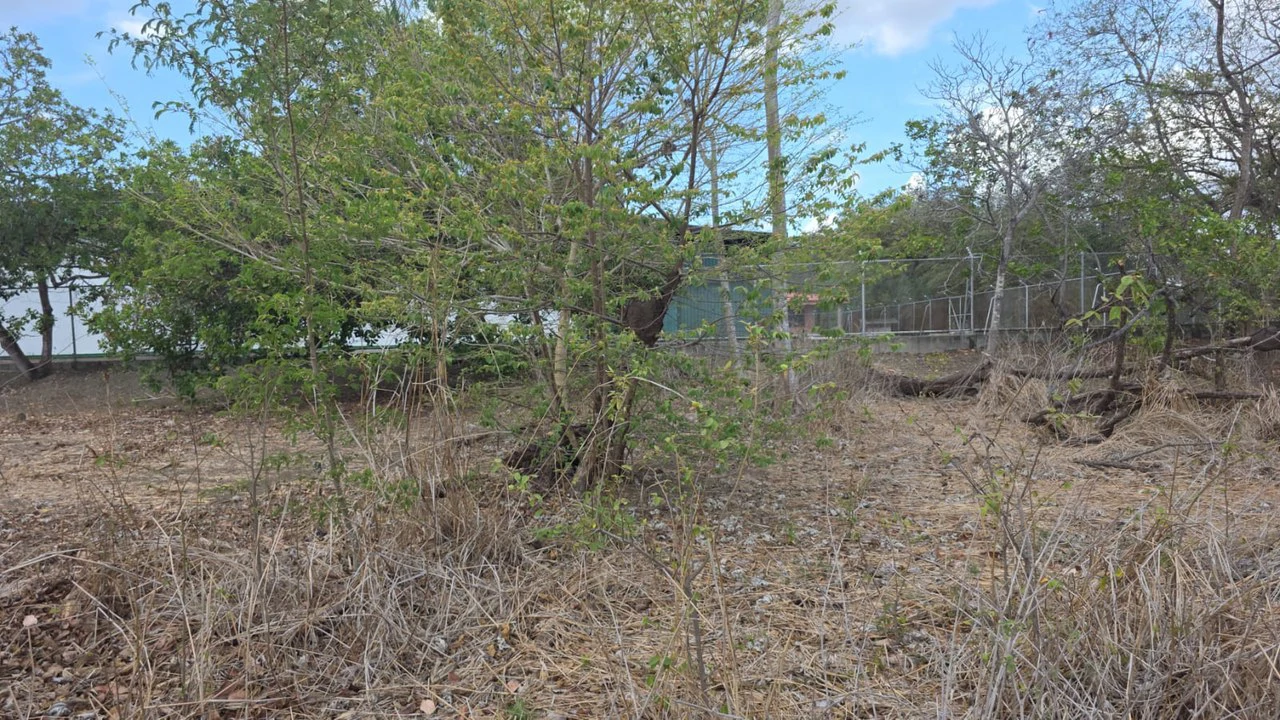 Property for Sale Near Liberia Airport with High Exposure and 60 Meters Frontage on Route 21, with Public Utilities - Gallery image 3