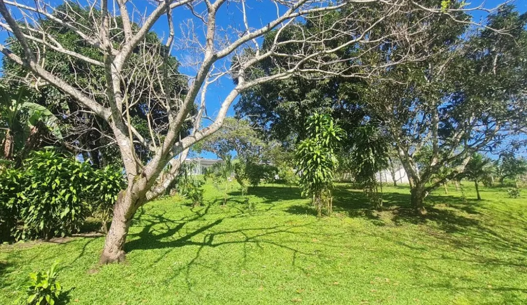 VILLA VIDA TRANQUILA - Modern Bright Home on Lake Front Property-DRASTIC REDUCTION FROM $585,000 - photo 32