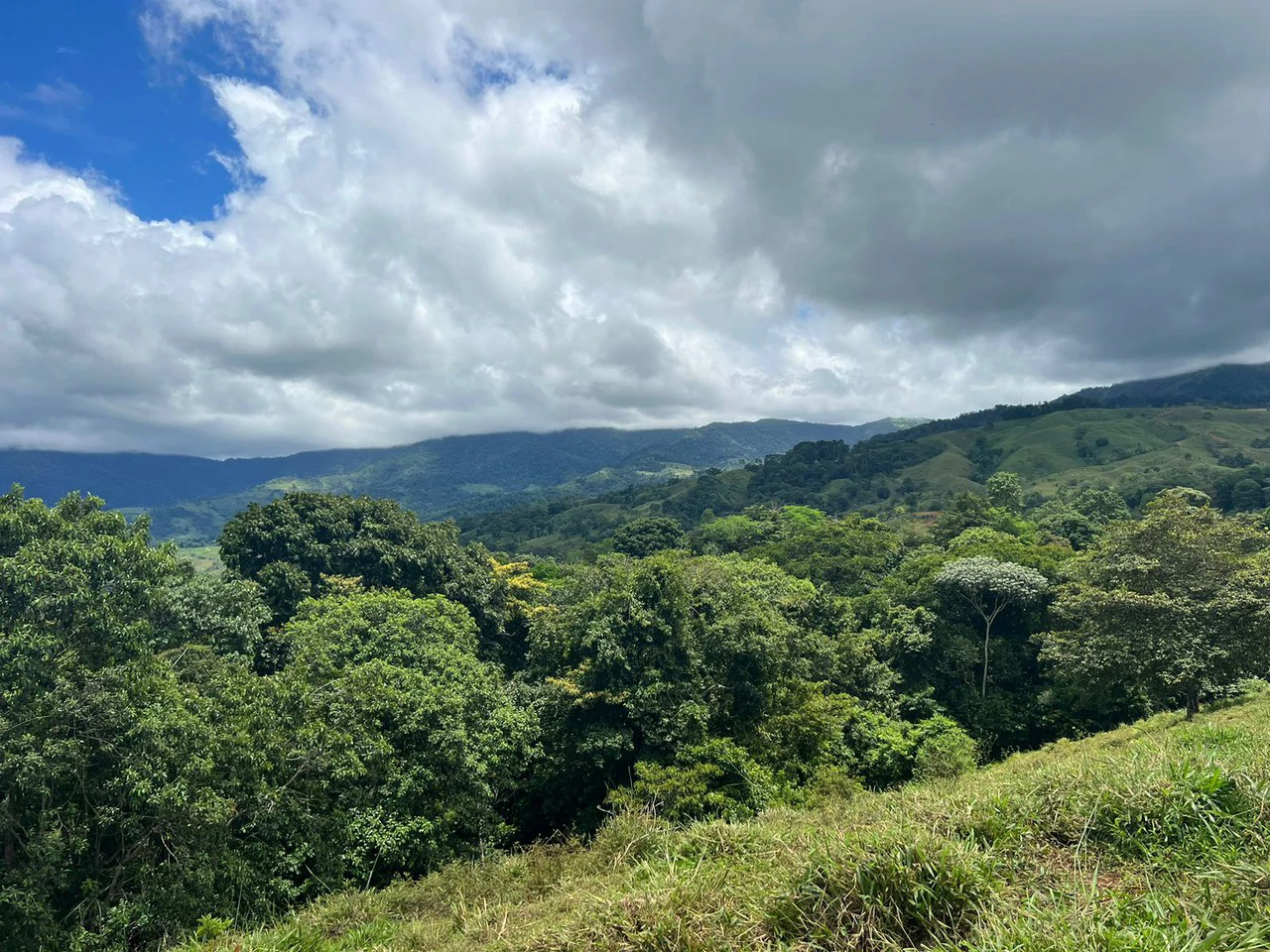 47 ACRES – Beautiful Mountain View Farm With Many Water Sources and Many Building Areas!!!! - Gallery image 20