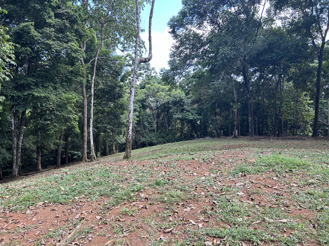 Cabo Matapalo: Jungle View Lot Priced To Sell!